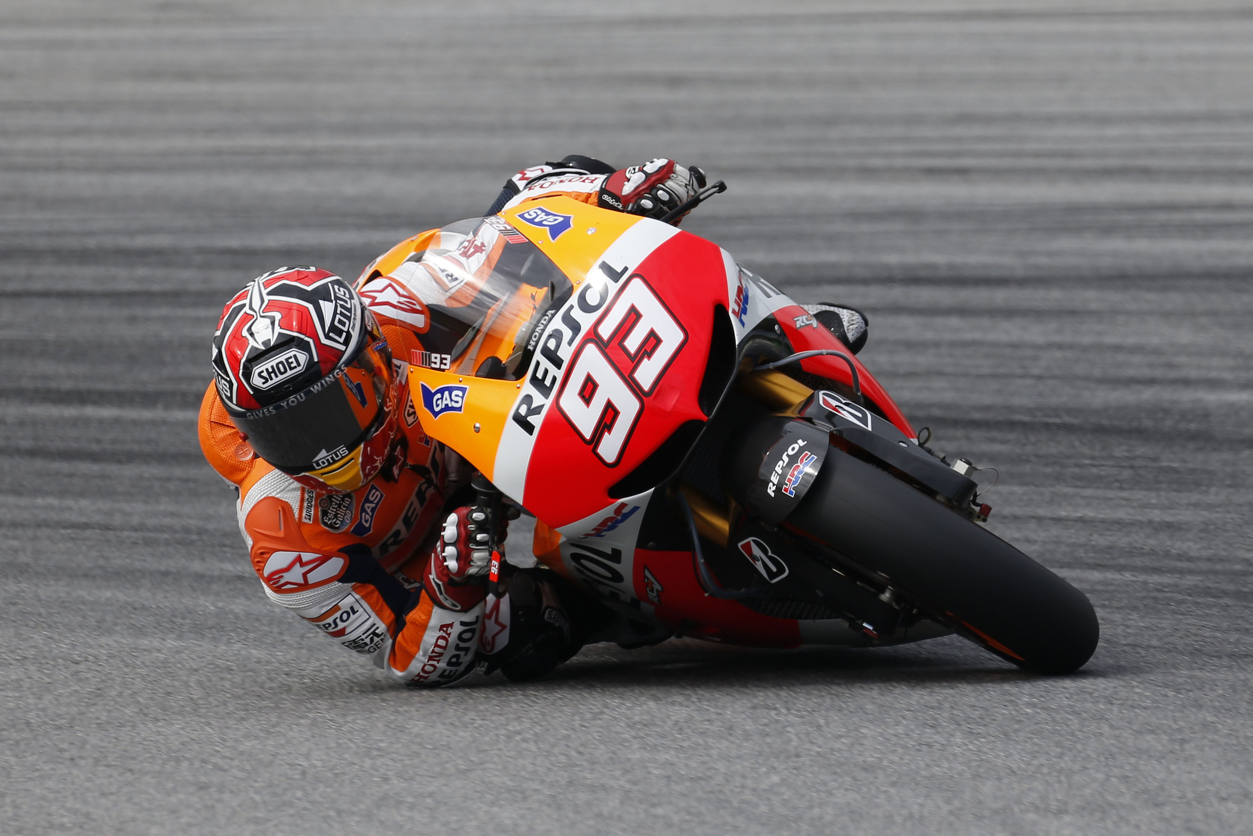 Марк Маркез 2013 sepang 2 d2 pic 2