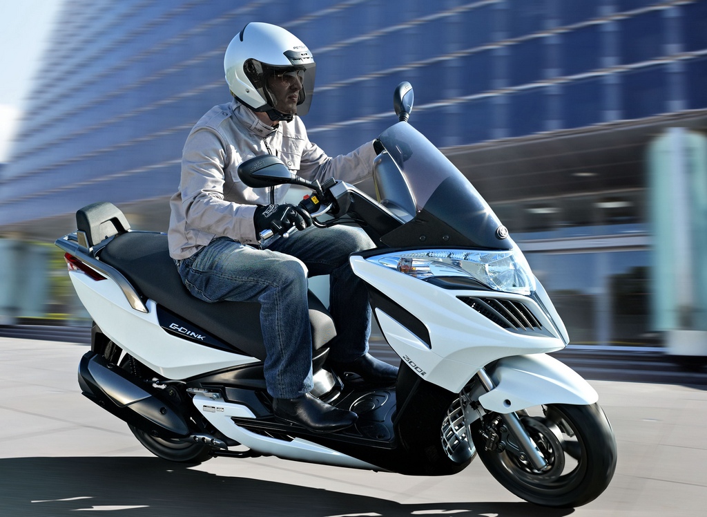 G-DINK 300i-2013-3