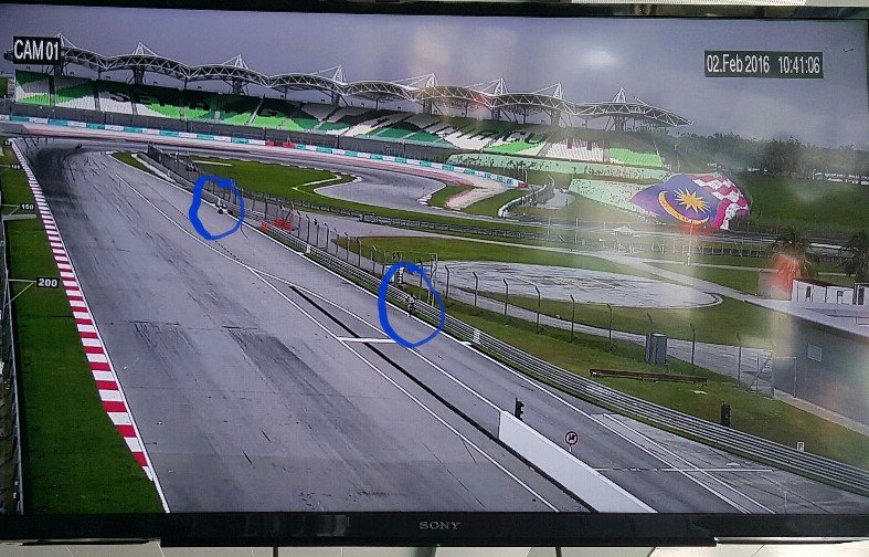 loris baz pad