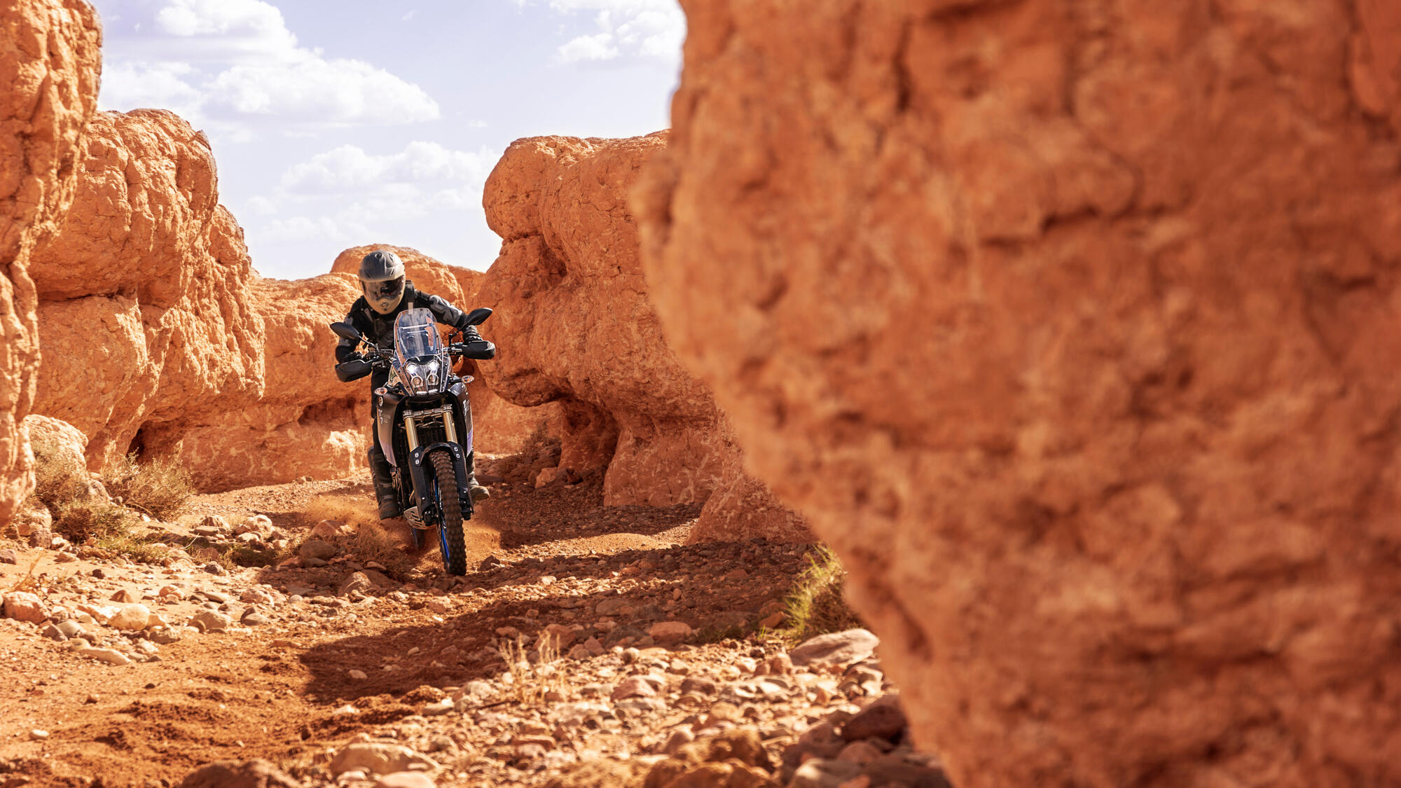 2019 Yamaha XTZ700 EU Ceramic Ice Action 002 03