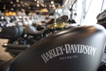 harley txt 22 04