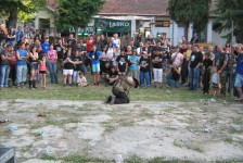 potfat_mc_523_20090715_1277208117