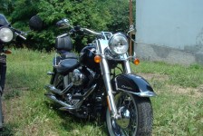 potfat_mc_638_20090715_1532738570