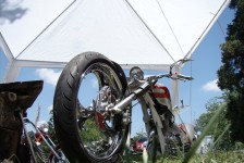 potfat_mc_768_20090715_2029692594