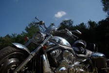 potfat_mc_843_20090715_1837834189
