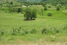 mariovo_259_20090715_1655299714