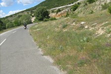 mariovo_263_20090715_2091720879