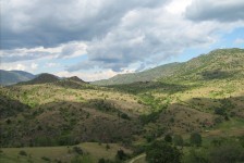 mariovo_280_20090715_1790768676