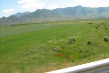 mariovo_295_20090715_1630796134