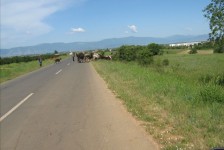 mariovo_298_20090715_1794911979