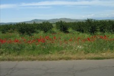 mariovo_300_20090715_1558369573