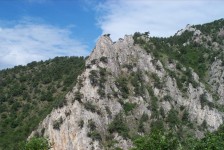 mariovo_420_20090715_1395770835