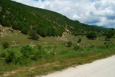 mariovo_730_20090715_1965356113