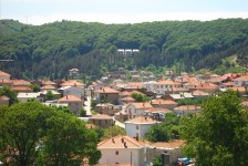 mariovo_782_20090715_1089997767