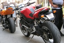 dimo_topal_129_20090715_1148943861
