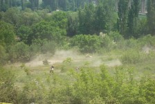 moto_kros_187_20090714_1072516927