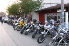 mk_bears_macedonia_278_20090807_1002732698