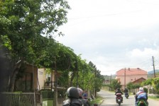 mk_osogovski_vozaci_305_20090810_1649862052