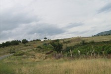 mk_osogovski_vozaci_314_20090810_1935332080