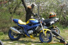 trka_na_shampionati_2009_256_20090810_1140719075