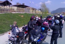 babino_12_20090807_1601466366