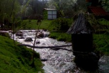 babino_13_20090807_1344788990