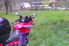babino_14_20090807_1300577784