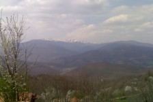 babino_6_20090807_1918504593