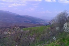 babino_7_20090807_1602320647