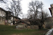 Лесноски манастир (29.03.2009)