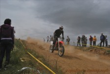 bratindol_1_217_20100531_2001301264