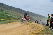 bratindol_1_243_20100531_2045687087