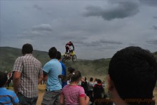 bratindol_1_98_20100531_1623959082