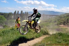 kros_orman_1_157_20100509_1694279653