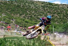 kros_orman_1_273_20100509_1501999325