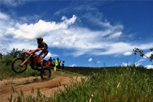 kros_orman_1_287_20100509_1938082857