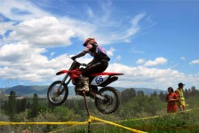 kros_orman_1_293_20100509_2040214686