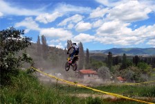 kros_orman_1_297_20100509_1343015022