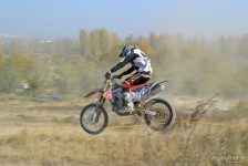 orman-2011-97