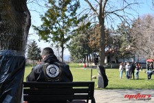 pelenica