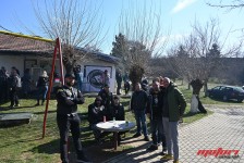 pelenica