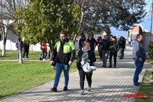 pelenica