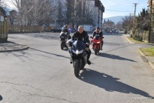 retki_ptici-78