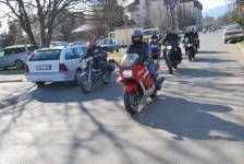 retki_ptici-79